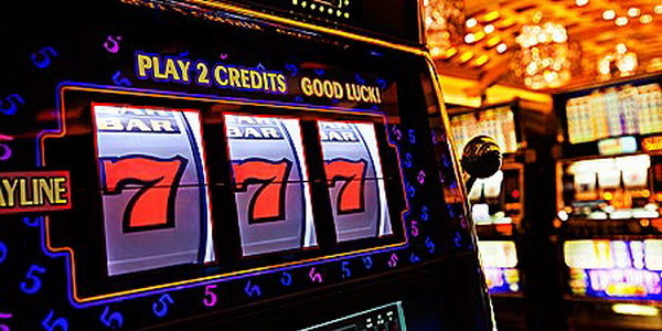 Progressive sharky Spielautomaten echtes Geld Jackpots and Slots